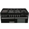 105890 PROFESSIONAL DL 11_cooker