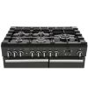 105930 PROFESSIONAL DL 10_cooker