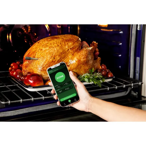 Ninja WP100EU ProChef Wireless Cooking Thermometer - Black/Silver_oven temperature