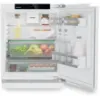 Liebherr URd 365i Prime Undercounter Integrated Fridge with EasyFresh_main