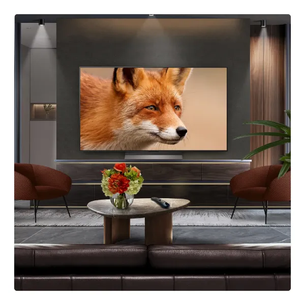 LG OLED evo AI C5 55" 4K Smart TV_front