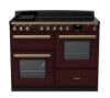 Rangemaster 18126 Estel Deluxe 110 Induction Range Cooker with Proving Drawer in Bordeaux with Antique Brass Trim - ESDLO110EIPBOR/AB1_main