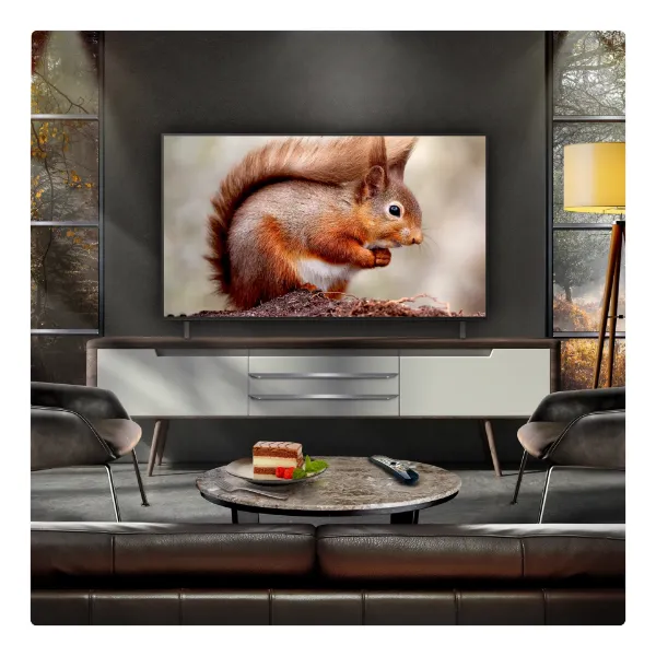 LG OLED AI B5 55" 4K OLED Smart TV_room