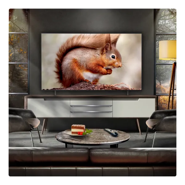 LG OLED AI B5 65" 4K Smart TV_view