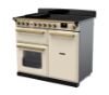 Rangemaster 18090 Estel Deluxe 100 Induction Range Cooker in Pale Cream with Antique Brass Trim - ESDL100EIPPCR/AB1_angled view
