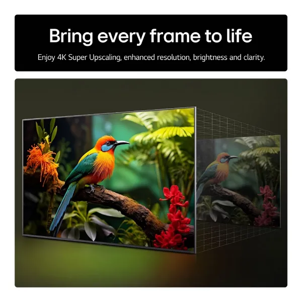 LG 55UA74006LB.AEK 55" 4K Ultra HD Smart TV_frame