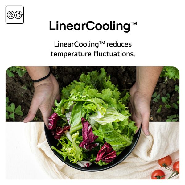 LG GBBSJ10DPY 333L Fridge Freezer with DoorCooling™ in Prime Silver_linear cooling