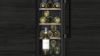 Siemens KU20WVHF0G Wine Cooler With Glass Door In Black