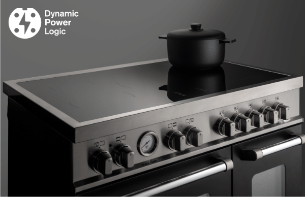 Bertazzoni PRO105I2ECAT2 Professional 100cm Double Induction Range Cooker in Carbon