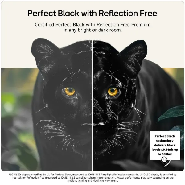 LG OLED48G66LS.AEK 48" 4K OLED evo AI Stand version Smart TV_reflection free